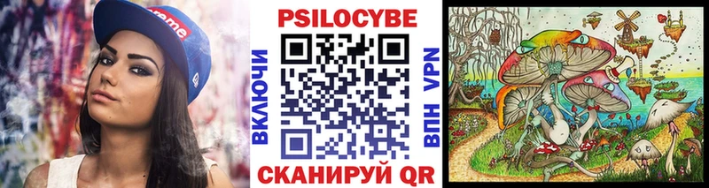 Купить где  Гремячинск  Галлюциногенные грибы GOLDEN TEACHER 